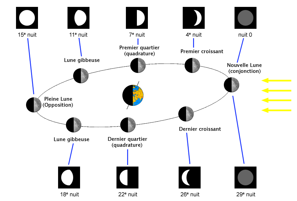 Les phases de la Lune.