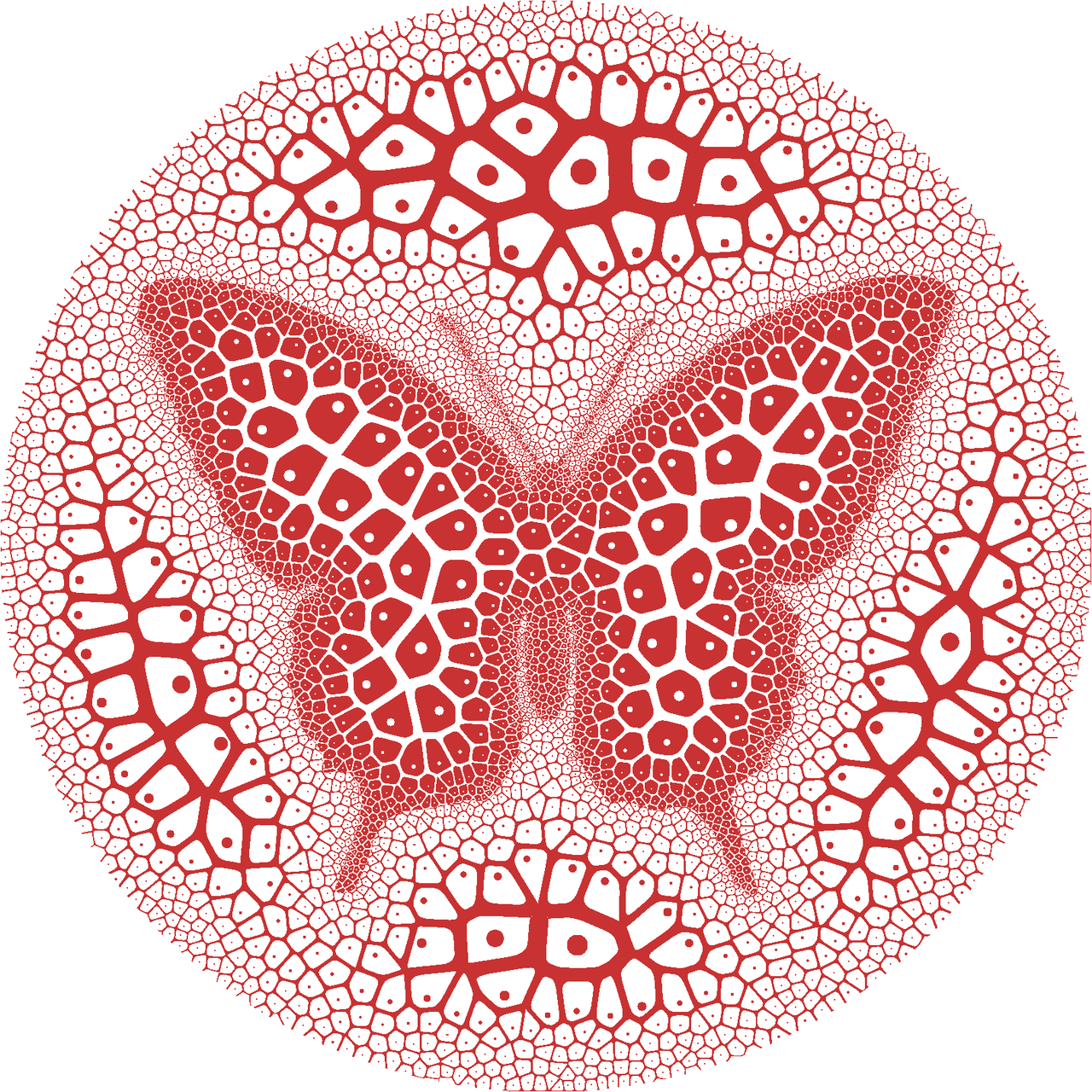 A voronoi diagram.